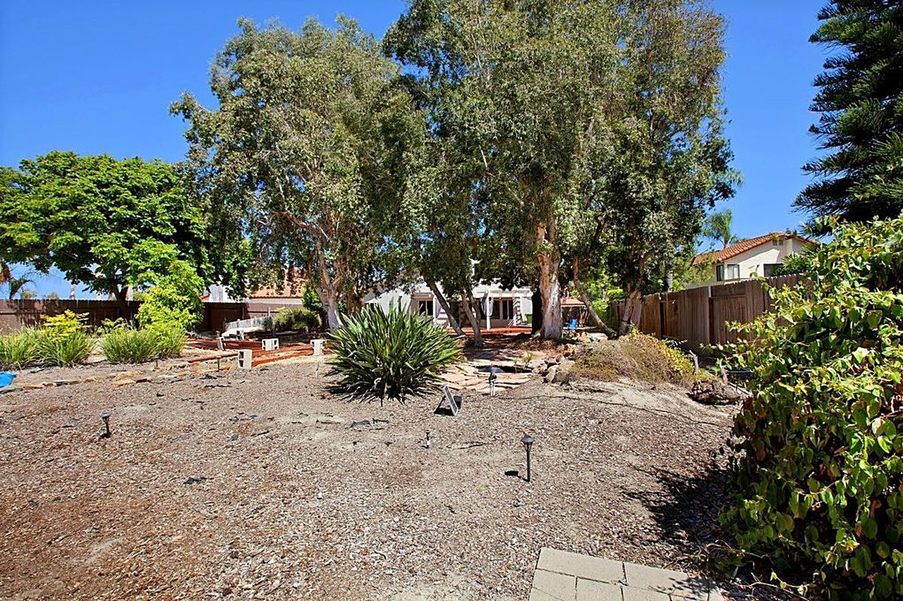 Backyard before: bare dirt, scattered rock, no usable lawn